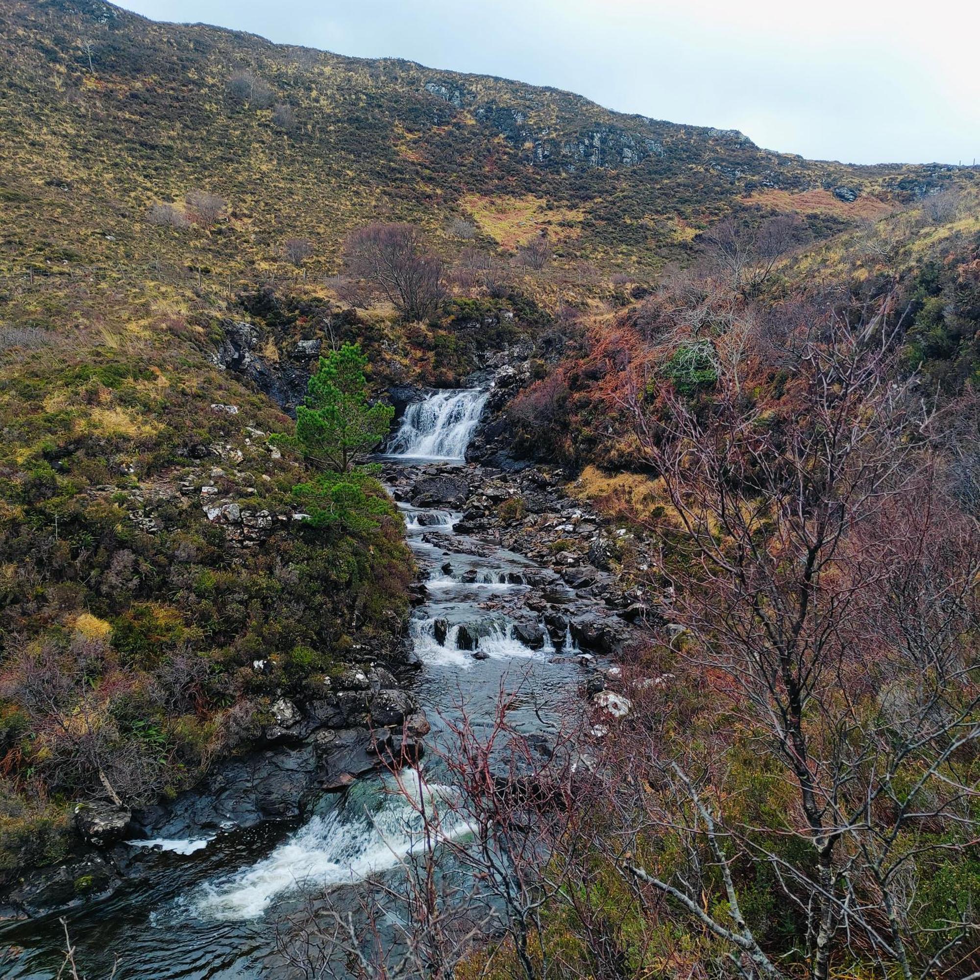 Kintyre Caravan Portree Exteriör bild